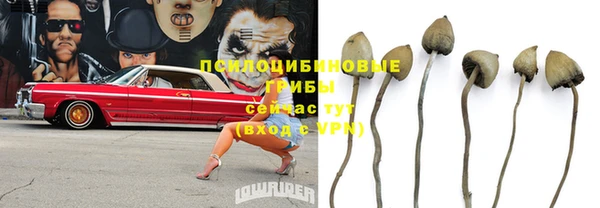 эйфоретик Аркадак
