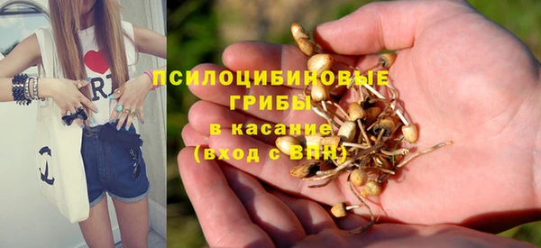 spice Армянск