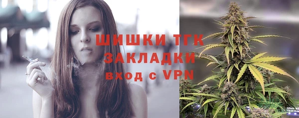 эйфоретик Аркадак